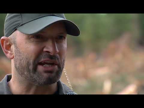 5 bikers attacked by cougar in Washington; 60-year-old woman injured