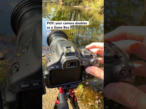 I bet your camera canβt do this π