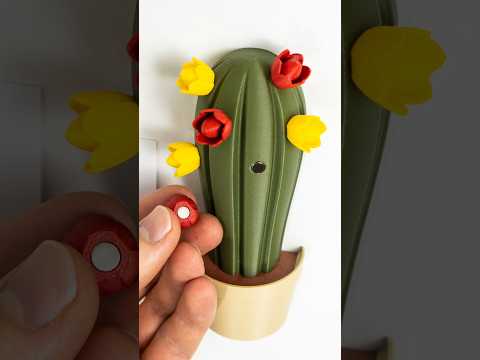 Cacti Blooms Are Suddenly Useful?