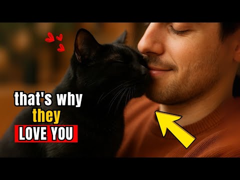 10 Adorable Signs Your Cat Can't Stand Being Away