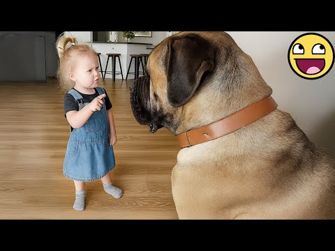 When An Adorable Baby Has The Cutest ‘Chat’ With A Giant Dog 🐶