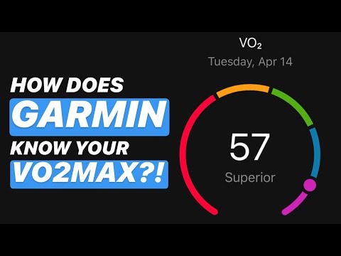 VO2MAX ON YOUR GARMIN: How do watches estimate VO2max?!