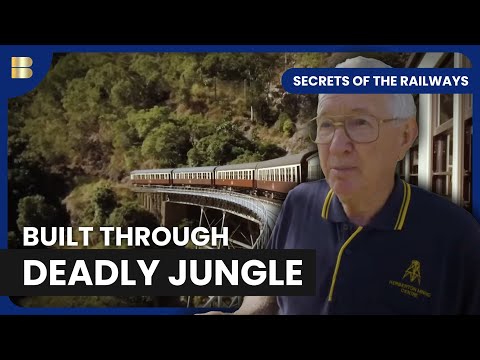 Secret War Railway Built Through Deadly Swamps