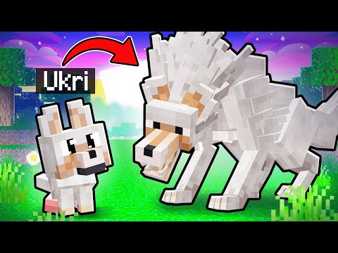 Vom BABY zum ALPHA WOLF in Minecraft!