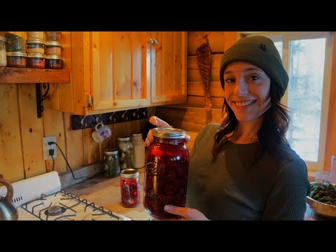 Off Grid Fermenting: Crafting Beet Kvass & Sourdough Bun Baking | Alaska Homestead Kitchen Ep.4