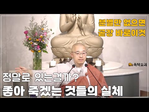 [황벽4] 진짜로 좋고 싫은 게 맞아? 정말로 있는게 맞아? 분별만 없으면 바로 이것!