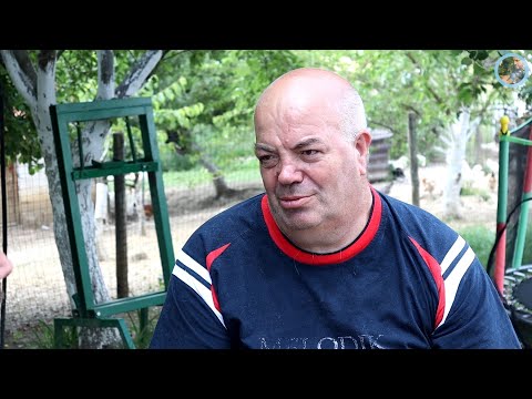 „Majka nije dala da je dovedem a sad joj bolja nego ja“