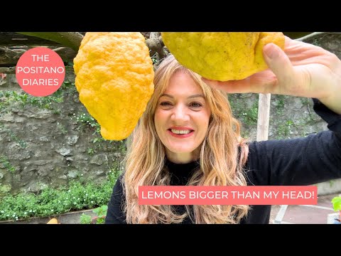 DAILY LIFE IN POSITANO IN MARCH - Garden Produce and Ceramics
