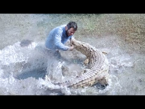 Crocodile Attacks That Should Never Have Happened
