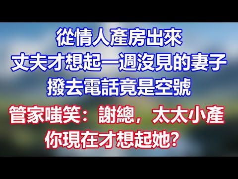 從情人產房出來，丈夫才想起一週沒見的妻子，撥去電話竟是空號，管家嗤笑：謝總，太太小產，你現在才想起她？