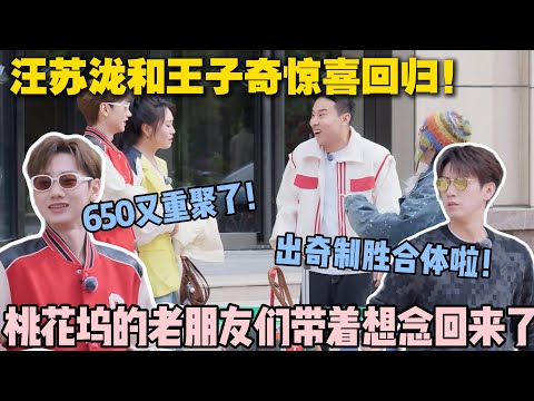 【五十公里桃花坞s5 】EP8-9：汪苏泷王子奇惊喜回归桃花坞！徐志胜开心得像个孩子！650又重聚了！#五十公里桃花坞s5 #仁科  #徐志胜 #孟子义 #李雪琴