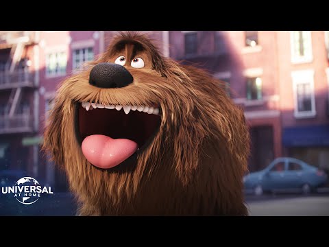 The Secret Life of Pets 1-2 | The Extended Preview Bundle