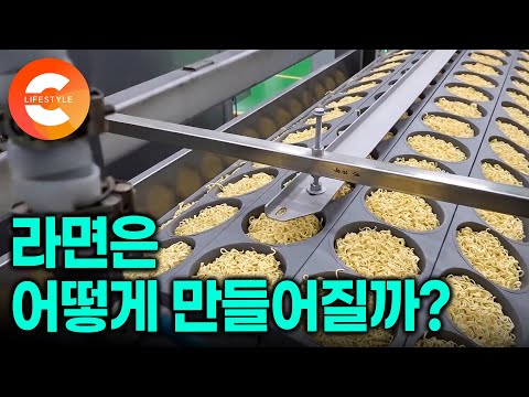 외화벌이 수출 효자 라면🍜 축구장 17개를 합친 크기의 압도적 규모! 놀라운 위생 상태의 시설에서 만들어지는 K-라면 대량 생산 과정ㅣ한국인의 밥상ㅣ#극한직업