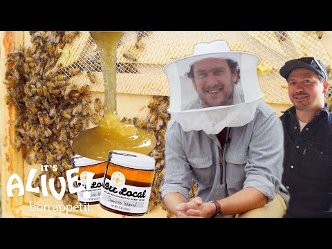 Brad Makes Honey | It's Alive | Bon Appétit