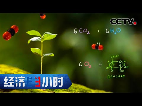 可再生能源重大突破！液态阳光助力中国实现碳中和 「经济半小时」20210310 | CCTV财经