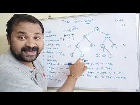 tree terminology in data structure
