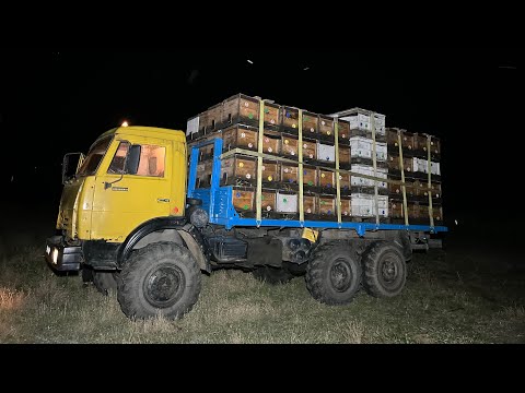 Погрузка 200 семей за 1 час. Перевозка пчёл на промышленной пасеке