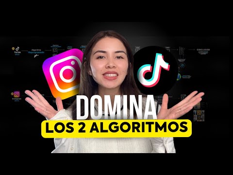 How to Become an Instagram and TikTok Expert (Master the Algorithm Once and for All)