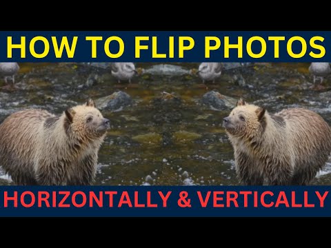 How to Flip Image Horizontally &amp; Vertically in Windows 11 | Easy Tutorial