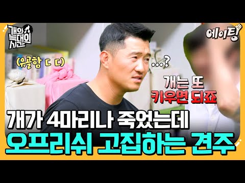 [#에이팅] 키우는 개 6마리+떠나보낸 개 4마리... 근데도 계속해서 입양과 번식 반복하는 충격적인 보호자 정체 공개 | #개와늑대의시간 8회