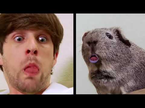 CLASSIC SMOSH COMPILATION 1 HOUR #1