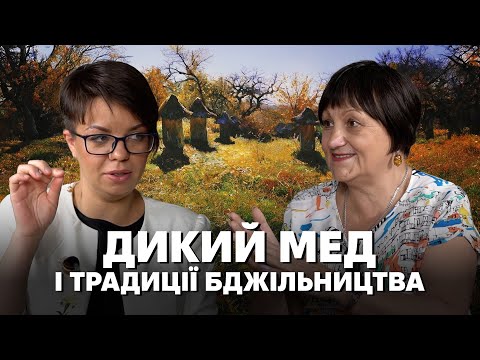 Святі бджоли і заговорені вулики: все про традиційне бортництво, пасічництво, бджолярство в Україні