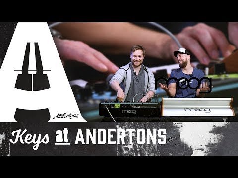 Moog Subsequent 37 vs Moog Grandmother - Battle of the Moogs!