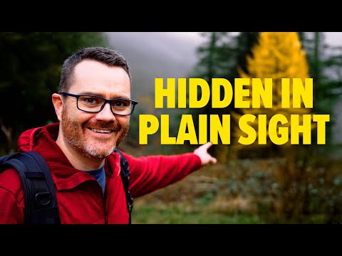 Ireland's BIGGEST SECRET Is Hidden In This Forest...