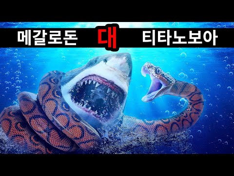 메갈로돈이 역대 가장 큰 뱀을 만난다면?