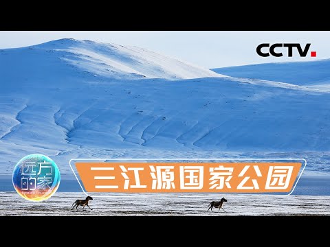 此生一定要去一趟中国三江源国家公园！深入青藏高原腹地 探访黄河源头、寻找“雪山之王”雪豹 20211201 |《远方的家》CCTV中文国际