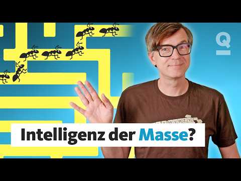 Schwarm oder Experte – Wem solltest du glauben? | Quarks Dimension Ralph