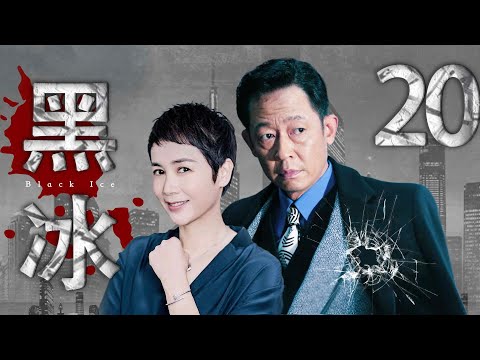 黑冰 20 大结局（王志文演绎生涯最悲情的反派角色，医药巨头摇身一变成大毒枭，王志文，蒋雯丽主演）【豆瓣高分】