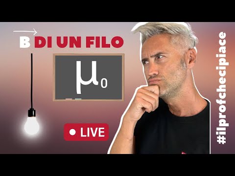 che cosa dice la legge di Biot-Savart? | Campo magnetico prodotto da un filo rettilineo