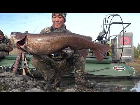 КАК ГОТОВЯТ ЩУКУ ЯКУТЫ. ПОТЕРЯЛИ ГЛАЗА ДЕДА.