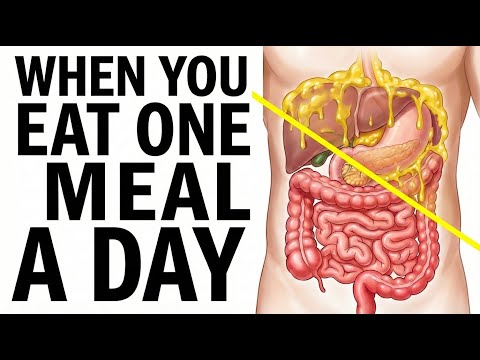 What Happens To Your Body When You Eat Once A Day (Hour By Hour)