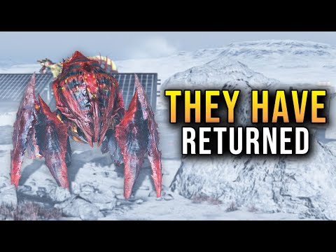 Helldivers 2 | Huge Changes to The 'RUPTURE BUGS' Makes Them BALANCED NOW!?!? - Solo Max Difficulty