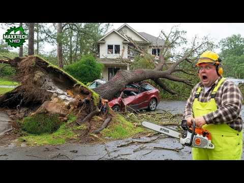 Idiots With Chainsaws: Tree Cutting Fails & Tree Falling on Houses Compilation #18