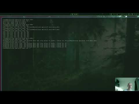 Odin Lang : Learning Vlog 3: Learning The Difference Between fmt.print & fmt.eprint