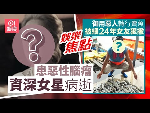 資深女星不敵腦癌病逝終年69歲｜御用惡人滿頭白髮轉行賣魚被女友狠撇｜12月20日娛樂新聞 #今日娛樂 #香港01