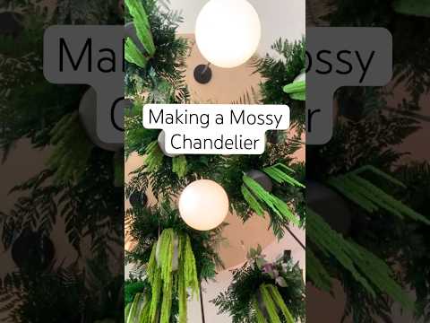Making a Moss Chandelier #moss #mossart #artinstallation #greenery #interiordesign #interiorstyling