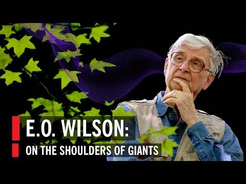 E.O. Wilson: On The Shoulders of Giants