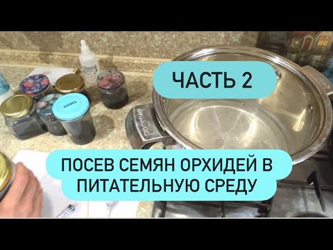 🟣ЧАСТЬ 2 ПОСЕВ СЕМЯН ОРХИДЕЙ В ПИТАТЕЛЬНУЮ СРЕДУ. Фласки #семенаорхидей #питательнаясреда #фласки 