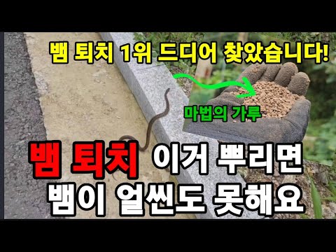 뱀 퇴치는 퇴치보다 주변 환경과 예방이 중요합니다!#뱀퇴치하는방법 #뱀퇴치 #뱀이좋아하는환경 #snake #뱀퇴치제 #뱀퇴치약 #뱀이싫어하는환경 #뱀이싫어하는냄새 #뱀의습성