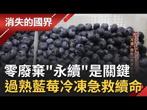 透過"永續"給它們第二個生命! 葡國電子設備大亨收購報廢藍莓 用"急速冷凍"保鮮重返市場 壞損3C產品也靠維修來續命│李文儀主持│【消失的國界  完整版】20220514│三立新聞台