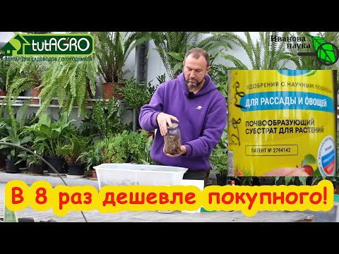 SUPER FERTILIZER HOME-MADE CYMUS: 8 times cheaper than DIY and 100 times better!