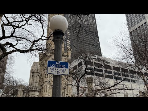 Chicago Christmas Lights Walking Tour 2025: Magnificent Mile, Christkindlmarket & Holiday Magic! 