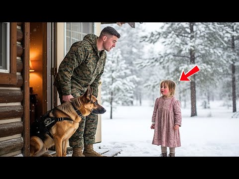 A Little Girl Said “They Hurt My Mom... She Can’t Stand” — A Marine & His K9 Shocked Them All