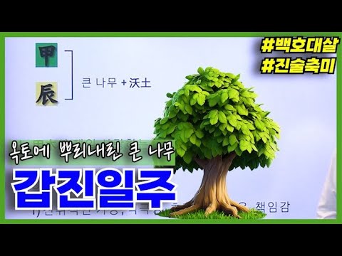 [Advanced] Lesson 7 - Characteristics of the Gapjin (甲辰) Day