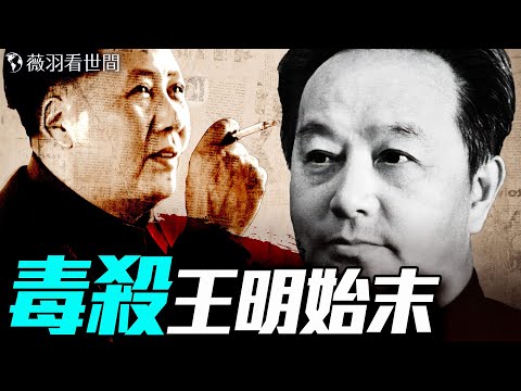 毛澤東給王明下汞毒；毛為何寧可兒子做人質也不放王明去蘇聯？｜薇羽看世間 20250625