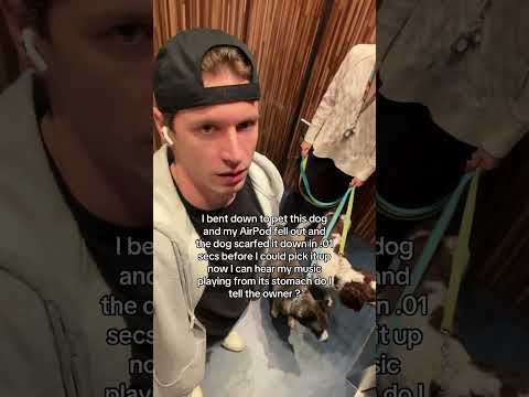 Does he count as a Bluetooth speaker now??? 🐶🎶